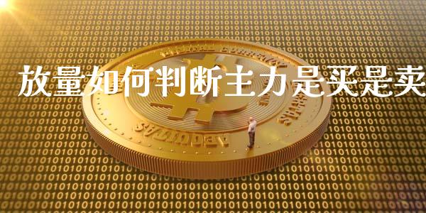 放量如何判断主力是买是卖_https://cj007.lansai.wang_外汇交易_第1张