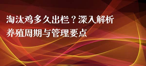 淘汰鸡多久出栏？深入解析养殖周期与管理要点_https://cj007.lansai.wang_期货开户_第1张