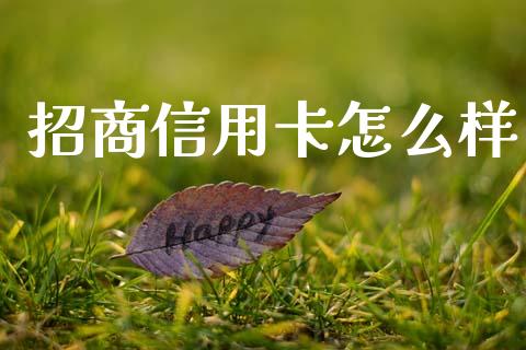 招商信用卡怎么样_https://cj007.lansai.wang_债券资讯_第1张