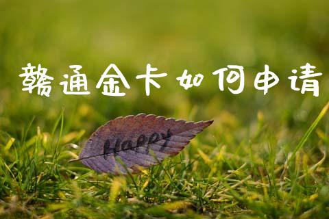赣通金卡如何申请_https://cj007.lansai.wang_金融监管_第1张
