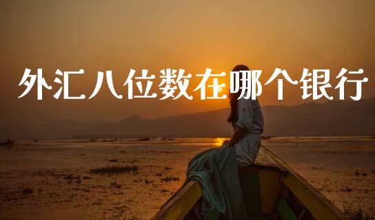 外汇八位数在哪个银行_https://cj007.lansai.wang_期货开户_第1张