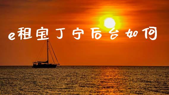 e租宝丁宁后台如何_https://cj007.lansai.wang_外汇交易_第1张