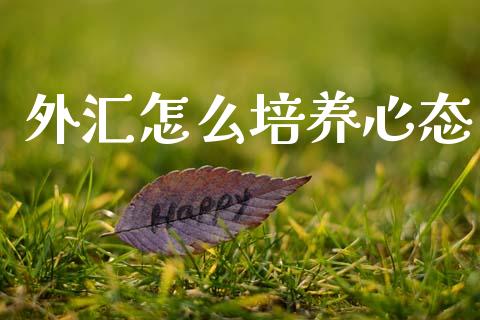 外汇怎么培养心态_https://cj007.lansai.wang_全球市场_第1张