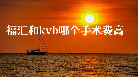 福汇和kvb哪个手术费高_https://cj007.lansai.wang_债券资讯_第1张