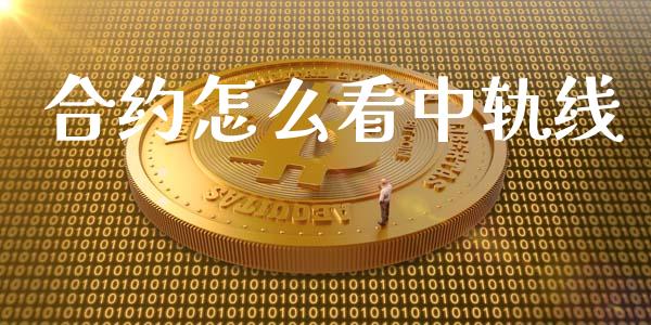 合约怎么看中轨线_https://cj007.lansai.wang_外汇交易_第1张