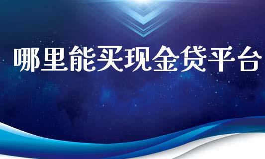哪里能买现金贷平台_https://cj007.lansai.wang_外汇交易_第1张