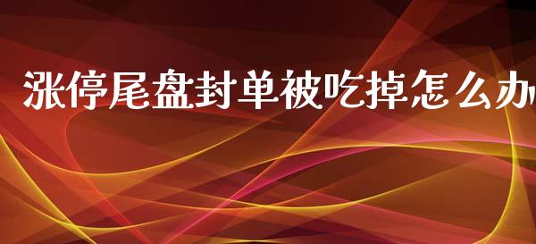 涨停尾盘封单被吃掉怎么办_https://cj007.lansai.wang_全球市场_第1张