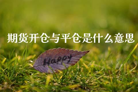 期货开仓与平仓是什么意思_https://cj007.lansai.wang_债券资讯_第1张