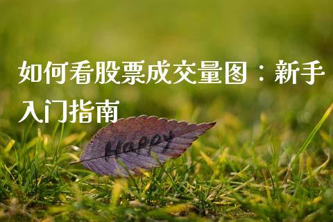 如何看股票成交量图：新手入门指南_https://cj007.lansai.wang_全球市场_第1张
