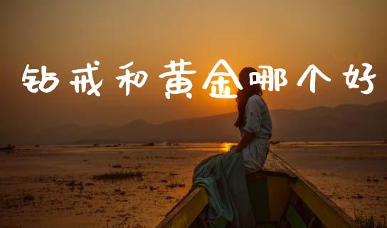 钻戒和黄金哪个好_https://cj007.lansai.wang_外汇交易_第1张