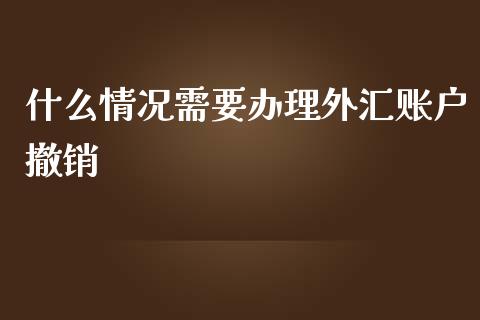 什么情况需要办理外汇账户撤销_https://cj007.lansai.wang_金融监管_第1张