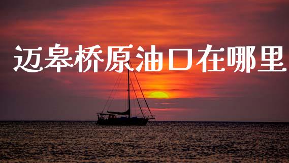 迈皋桥原油口在哪里_https://cj007.lansai.wang_期货开户_第1张