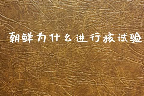 朝鲜为什么进行核试验_https://cj007.lansai.wang_全球市场_第1张