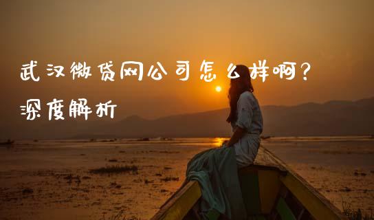 武汉微贷网公司怎么样啊？深度解析_https://cj007.lansai.wang_财经新闻_第1张