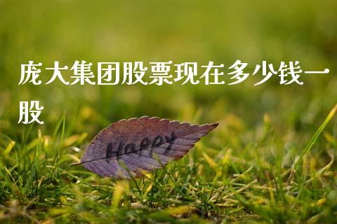 庞大集团股票现在多少钱一股_https://cj007.lansai.wang_金融监管_第1张