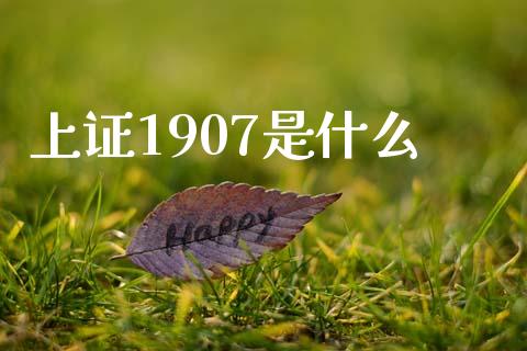 上证1907是什么_https://cj007.lansai.wang_债券资讯_第1张