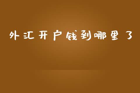 外汇开户钱到哪里了_https://cj007.lansai.wang_债券资讯_第1张