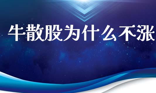 牛散股为什么不涨_https://cj007.lansai.wang_全球市场_第1张