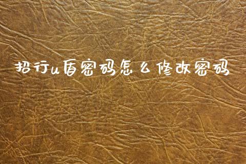 招行u盾密码怎么修改密码_https://cj007.lansai.wang_债券资讯_第1张