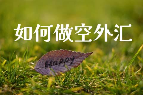 如何做空外汇_https://cj007.lansai.wang_财经新闻_第1张