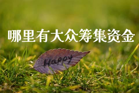 哪里有大众筹集资金_https://cj007.lansai.wang_期货开户_第1张
