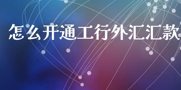 怎么开通工行外汇汇款_https://cj007.lansai.wang_金融监管_第1张