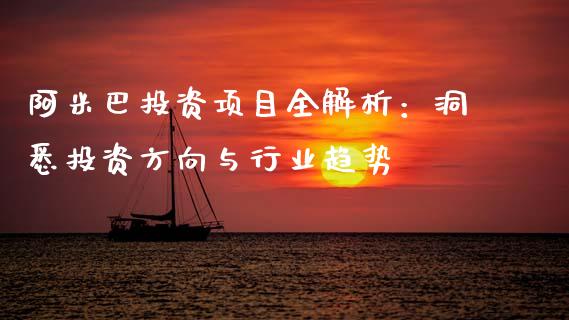 阿米巴投资项目全解析：洞悉投资方向与行业趋势_https://cj007.lansai.wang_全球市场_第1张
