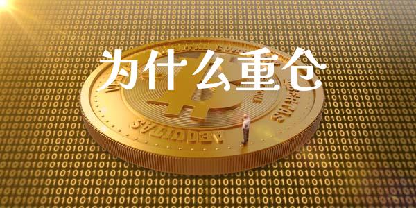 为什么重仓_https://cj007.lansai.wang_全球市场_第1张