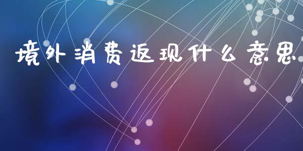 境外消费返现什么意思_https://cj007.lansai.wang_金融监管_第1张