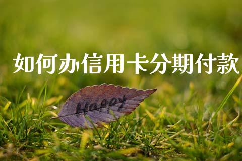 如何办信用卡分期付款_https://cj007.lansai.wang_全球市场_第1张