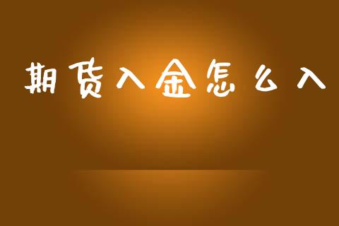 期货入金怎么入_https://cj007.lansai.wang_期货开户_第1张