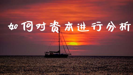 如何对资本进行分析_https://cj007.lansai.wang_金融监管_第1张