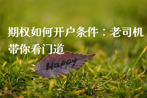 期权如何开户条件：老司机带你看门道_https://cj007.lansai.wang_全球市场_第1张