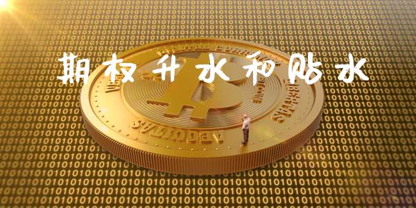 期权升水和贴水_https://cj007.lansai.wang_外汇交易_第1张