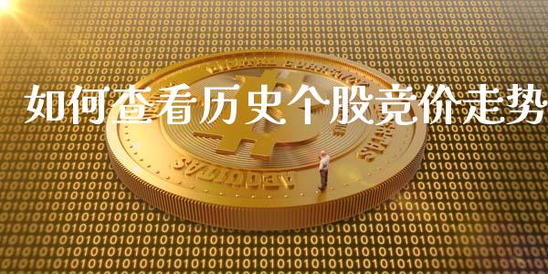 如何查看历史个股竞价走势_https://cj007.lansai.wang_外汇交易_第1张