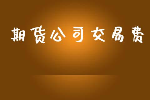 期货公司交易费_https://cj007.lansai.wang_外汇交易_第1张