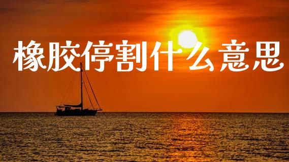橡胶停割什么意思_https://cj007.lansai.wang_债券资讯_第1张