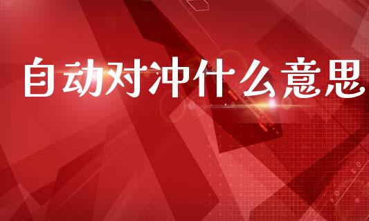 自动对冲什么意思_https://cj007.lansai.wang_全球市场_第1张