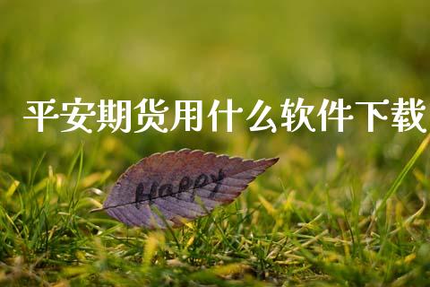 平安期货用什么软件下载_https://cj007.lansai.wang_全球市场_第1张