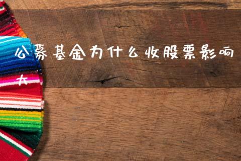 公募基金为什么收股票影响大_https://cj007.lansai.wang_金融监管_第1张