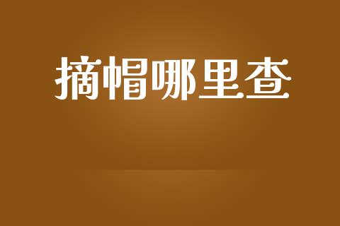摘帽哪里查_https://cj007.lansai.wang_外汇交易_第1张