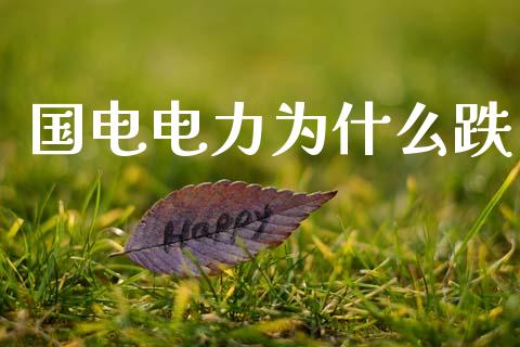 国电电力为什么跌_https://cj007.lansai.wang_外汇交易_第1张