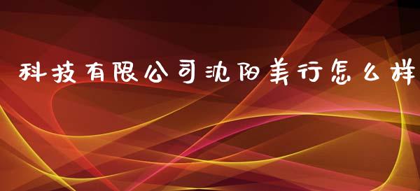 科技有限公司沈阳美行怎么样_https://cj007.lansai.wang_财经新闻_第1张
