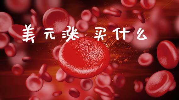 美元涨 买什么_https://cj007.lansai.wang_财经新闻_第1张