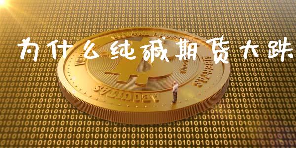 为什么纯碱期货大跌_https://cj007.lansai.wang_外汇交易_第1张