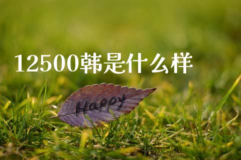 12500韩是什么样_https://cj007.lansai.wang_全球市场_第1张