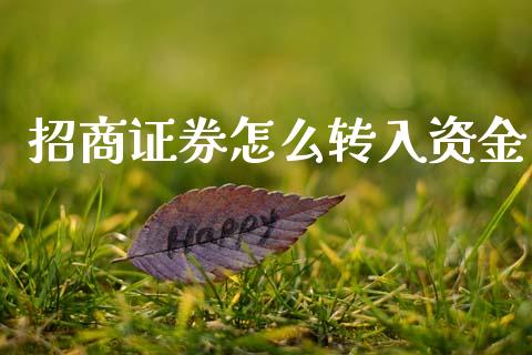招商证券怎么转入资金_https://cj007.lansai.wang_财经新闻_第1张