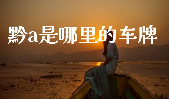 黔a是哪里的车牌_https://cj007.lansai.wang_全球市场_第1张