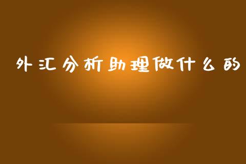 外汇分析助理做什么的_https://cj007.lansai.wang_财经新闻_第1张