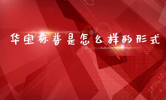 华宝标普是怎么样的形式_https://cj007.lansai.wang_金融监管_第1张